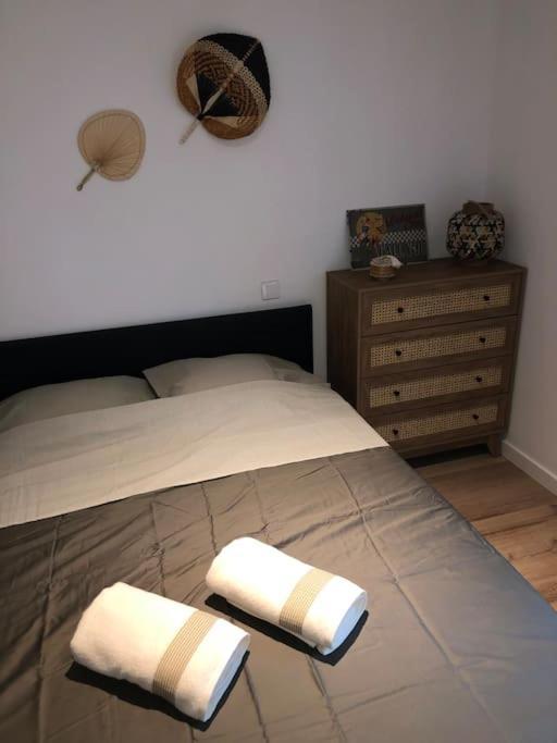 Appartement Cosy-Grand Stade Villeneuve D'Ascq Lezennes エクステリア 写真