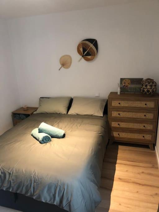 Appartement Cosy-Grand Stade Villeneuve D'Ascq Lezennes エクステリア 写真